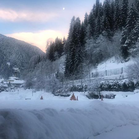 كاريسولو Holidays Dolomiti Apartment Resort المظهر الخارجي الصورة