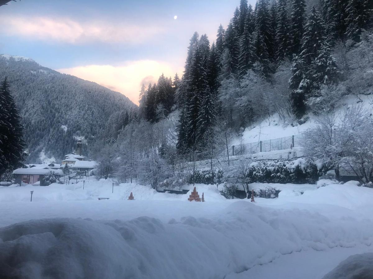 كاريسولو Holidays Dolomiti Apartment Resort المظهر الخارجي الصورة